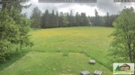 Archiv Foto Webcam Todtnauberg - Scheuermattwiese 11:00