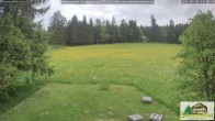 Archiv Foto Webcam Todtnauberg - Scheuermattwiese 13:00