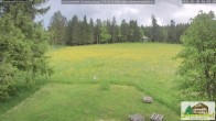 Archiv Foto Webcam Todtnauberg - Scheuermattwiese 15:00