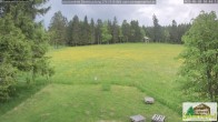 Archiv Foto Webcam Todtnauberg - Scheuermattwiese 17:00