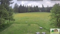 Archiv Foto Webcam Todtnauberg - Scheuermattwiese 19:00