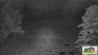 Archiv Foto Webcam Todtnauberg - Scheuermattwiese 03:00