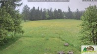 Archiv Foto Webcam Todtnauberg - Scheuermattwiese 05:00
