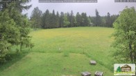 Archived image Webcam Todtnauberg - Scheuermatthof 09:00