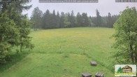 Archived image Webcam Todtnauberg - Scheuermatthof 11:00