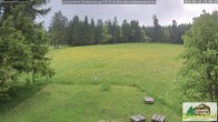 Archived image Webcam Todtnauberg - Scheuermatthof 13:00