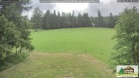 Archived image Webcam Todtnauberg - Scheuermatthof 09:00