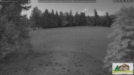 Archived image Webcam Todtnauberg - Scheuermatthof 03:00