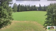 Archived image Webcam Todtnauberg - Scheuermatthof 13:00