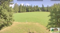 Archiv Foto Webcam Todtnauberg - Scheuermattwiese 15:00
