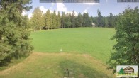 Archiv Foto Webcam Todtnauberg - Scheuermattwiese 17:00