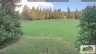 Archiv Foto Webcam Todtnauberg - Scheuermattwiese 19:00