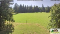 Archiv Foto Webcam Todtnauberg - Scheuermattwiese 09:00