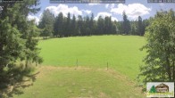 Archiv Foto Webcam Todtnauberg - Scheuermattwiese 11:00