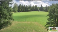 Archiv Foto Webcam Todtnauberg - Scheuermattwiese 13:00