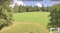 Archiv Foto Webcam Todtnauberg - Scheuermattwiese 15:00