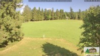 Archiv Foto Webcam Todtnauberg - Scheuermattwiese 17:00