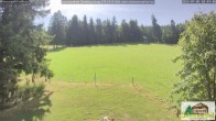 Archiv Foto Webcam Todtnauberg - Scheuermattwiese 09:00