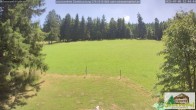 Archiv Foto Webcam Todtnauberg - Scheuermattwiese 11:00