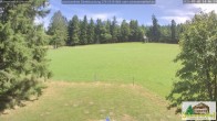 Archiv Foto Webcam Todtnauberg - Scheuermattwiese 13:00