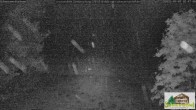Archiv Foto Webcam Todtnauberg - Scheuermattwiese 01:00