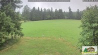 Archiv Foto Webcam Todtnauberg - Scheuermattwiese 07:00