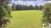 Archiv Foto Webcam Todtnauberg - Scheuermattwiese 11:00