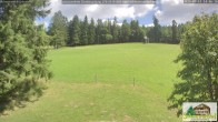 Archiv Foto Webcam Todtnauberg - Scheuermattwiese 13:00