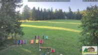 Archiv Foto Webcam Todtnauberg - Scheuermattwiese 06:00