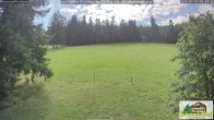 Archiv Foto Webcam Todtnauberg - Scheuermattwiese 09:00