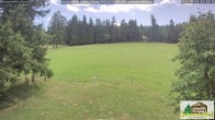 Archiv Foto Webcam Todtnauberg - Scheuermattwiese 11:00