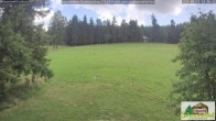 Archiv Foto Webcam Todtnauberg - Scheuermattwiese 13:00