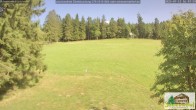 Archiv Foto Webcam Todtnauberg - Scheuermattwiese 15:00