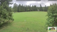 Archiv Foto Webcam Todtnauberg - Scheuermattwiese 11:00