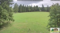 Archiv Foto Webcam Todtnauberg - Scheuermattwiese 13:00