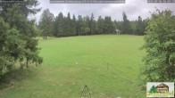Archiv Foto Webcam Todtnauberg - Scheuermattwiese 15:00