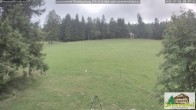 Archiv Foto Webcam Todtnauberg - Scheuermattwiese 19:00