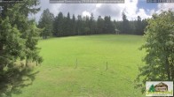 Archived image Webcam Todtnauberg - Scheuermatthof 11:00