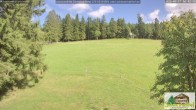 Archived image Webcam Todtnauberg - Scheuermatthof 15:00