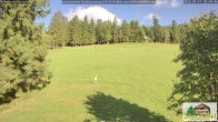 Archived image Webcam Todtnauberg - Scheuermatthof 17:00