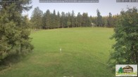 Archived image Webcam Todtnauberg - Scheuermatthof 19:00