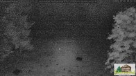 Archiv Foto Webcam Todtnauberg - Scheuermattwiese 03:00