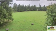 Archiv Foto Webcam Todtnauberg - Scheuermattwiese 07:00