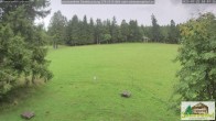 Archiv Foto Webcam Todtnauberg - Scheuermattwiese 09:00
