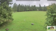 Archiv Foto Webcam Todtnauberg - Scheuermattwiese 11:00