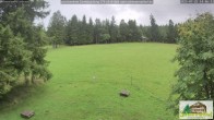 Archiv Foto Webcam Todtnauberg - Scheuermattwiese 13:00