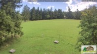 Archiv Foto Webcam Todtnauberg - Scheuermattwiese 15:00
