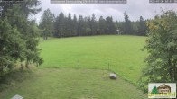 Archiv Foto Webcam Todtnauberg - Scheuermattwiese 09:00