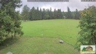Archiv Foto Webcam Todtnauberg - Scheuermattwiese 11:00