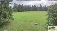 Archiv Foto Webcam Todtnauberg - Scheuermattwiese 13:00